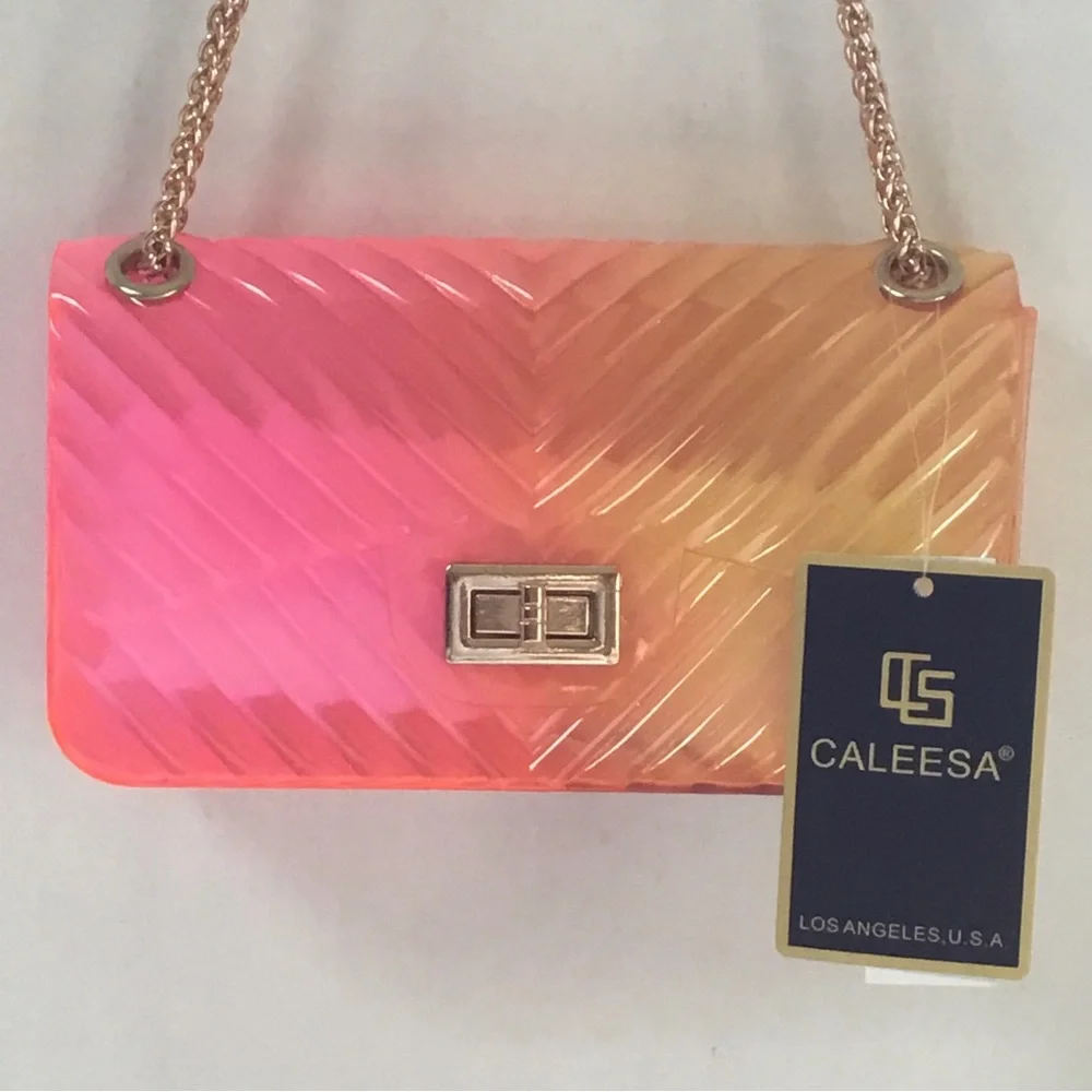 NWT Caleesa Jelly Crossbody Shoulder Bag Pink Yellow Ombre Chevron Design Flap